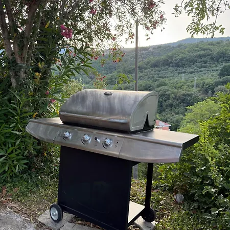 Eucalipto, Giardino Sul Mare *