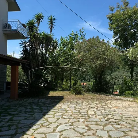 Eucalipto, Giardino Sul Mare Segno
