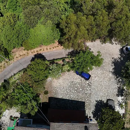 Eucalipto, Giardino Sul Mare * Segno