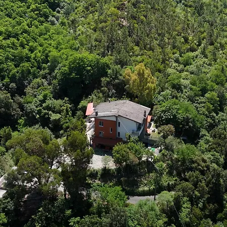 Eucalipto, Giardino Sul Mare * Segno