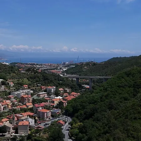 Eucalipto, Giardino Sul Mare * Segno