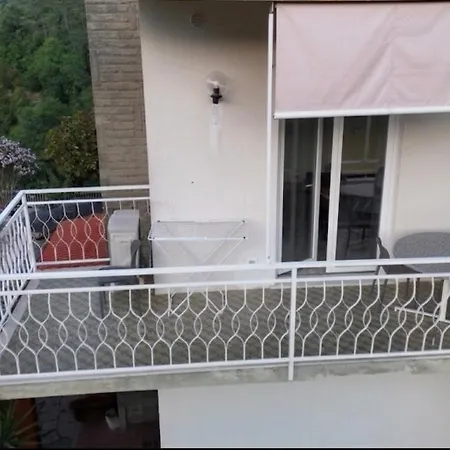 Eucalipto, Giardino Sul Mare