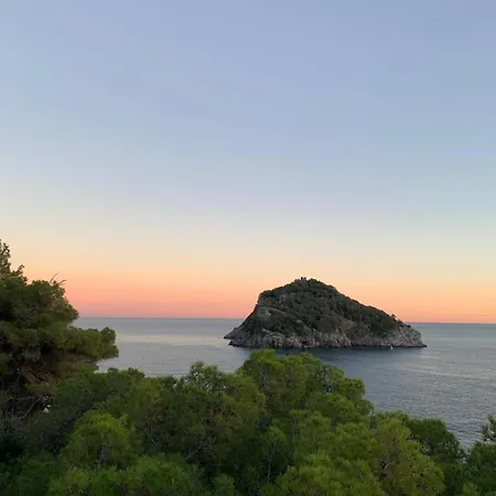 Eucalipto, Giardino Sul Mare * Segno