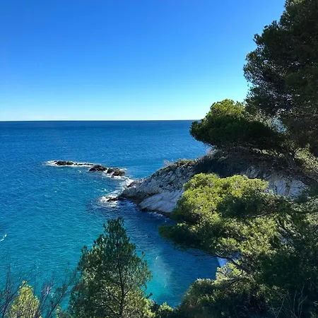 Eucalipto, Giardino Sul Mare * Segno